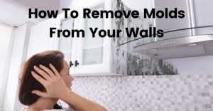 How To Remove Molds From Your Walls