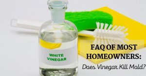 FAQ of Most Homeowners Does Vinegar Kill Mold