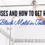 8 Causes and How to Get Rid of Black Mold in Toilet